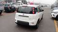 Fiat Panda 1.0 FireFly S&S Hybrid SPORT*PREZZO REALE* Bianco - thumbnail 5