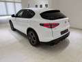 Alfa Romeo Stelvio Q4 210CV ALLESTIMENTO SPRINT Blanc - thumbnail 22