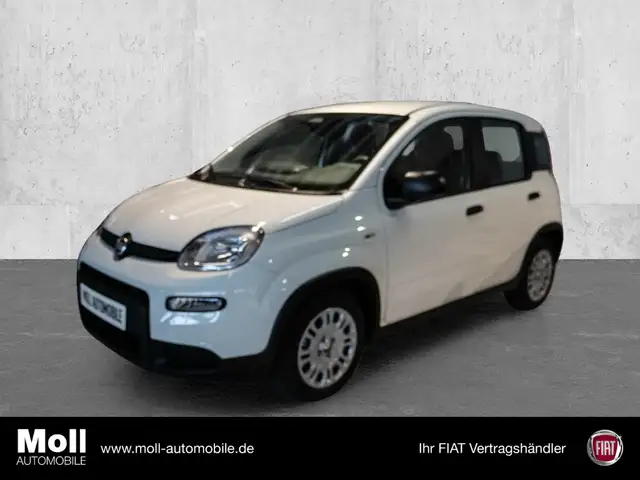 Fiat Panda Mild Hybrid City Paket  Gelato Weiß
