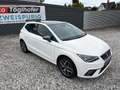 SEAT Ibiza Xcellence Aut. ACC LED Panorama Sportsitze Garan. Weiß - thumbnail 10