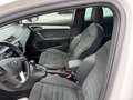 SEAT Ibiza Xcellence Aut. ACC LED Panorama Sportsitze Garan. Weiß - thumbnail 23