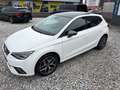 SEAT Ibiza Xcellence Aut. ACC LED Panorama Sportsitze Garan. Weiß - thumbnail 14
