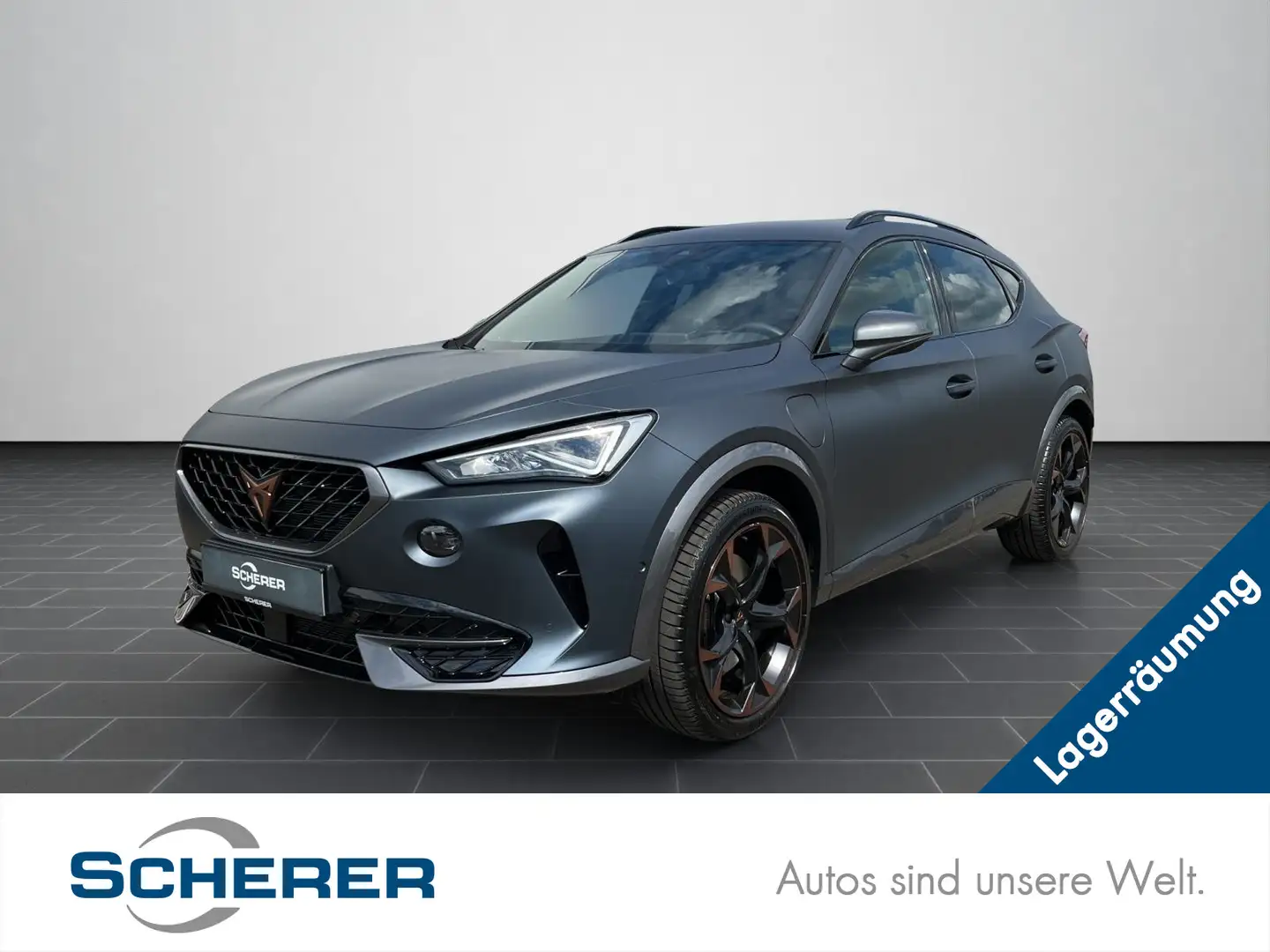 CUPRA Formentor VZ 1.4 eTSI DSG Rückfahrkamera AHK Grau - 1
