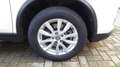 Nissan X-Trail 2.0 dCi 4WD N-Connecta Bianco - thumbnail 38