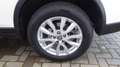 Nissan X-Trail 2.0 dCi 4WD N-Connecta Bianco - thumbnail 39