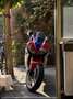Honda Fireblade HRC - thumbnail 4