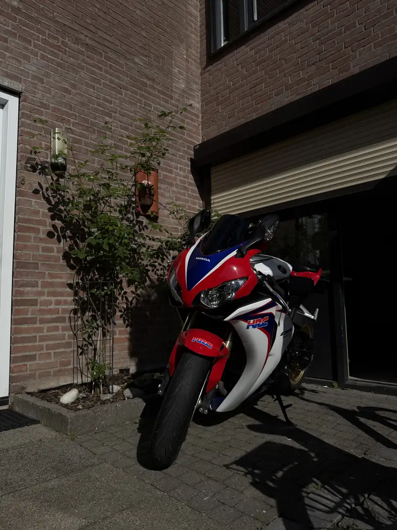 Honda Fireblade HRC - 2