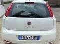 Fiat Punto Evo Punto Evo 5p 1.3 mjt Dynamic s Blanco - thumbnail 6