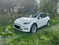 Tesla Model Y RWD - thumbnail 10