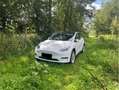 Tesla Model Y RWD - thumbnail 9