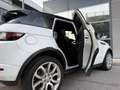 Land Rover Range Rover Evoque SE Dynamic Aut.|20´Zoll|LED|NAVI|PDC|LEDER| Weiß - thumbnail 8