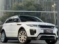 Land Rover Range Rover Evoque SE Dynamic Aut.|20´Zoll|LED|NAVI|PDC|LEDER| Weiß - thumbnail 4