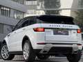 Land Rover Range Rover Evoque SE Dynamic Aut.|20´Zoll|LED|NAVI|PDC|LEDER| Weiß - thumbnail 6