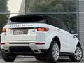 Land Rover Range Rover Evoque SE Dynamic Aut.|20´Zoll|LED|NAVI|PDC|LEDER| Weiß - thumbnail 7