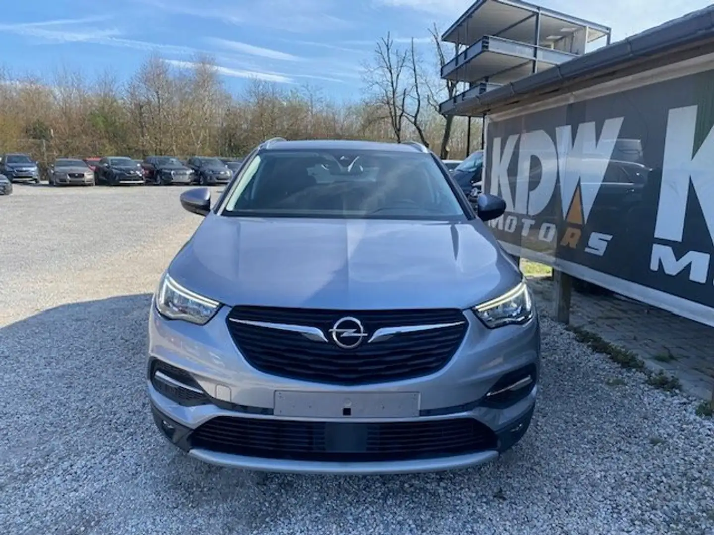 Opel Grandland X 1.2 Turbo ECOTEC Edition 2020 S Gris - 2