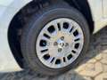 Fiat Panda 1.0 HYBRID 70 sofort verfügbar Blanc - thumbnail 5