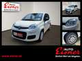 Fiat Panda 1.0 HYBRID 70 sofort verfügbar Blanc - thumbnail 1
