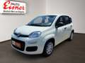 Fiat Panda 1.0 HYBRID 70 sofort verfügbar Blanc - thumbnail 3