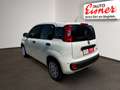 Fiat Panda 1.0 HYBRID 70 sofort verfügbar Blanc - thumbnail 12