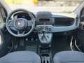 Fiat Panda 1.0 HYBRID 70 sofort verfügbar Blanc - thumbnail 11