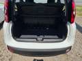 Fiat Panda 1.0 HYBRID 70 sofort verfügbar Blanc - thumbnail 13