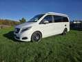 Mercedes-Benz Marco Polo 220/250 d EDITION (447.813) Blanc - thumbnail 7