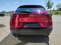 Mazda CX-30 Exclusive Leasing-Bonus Matrix 360° BOSE LogIn Sit Red - thumbnail 4