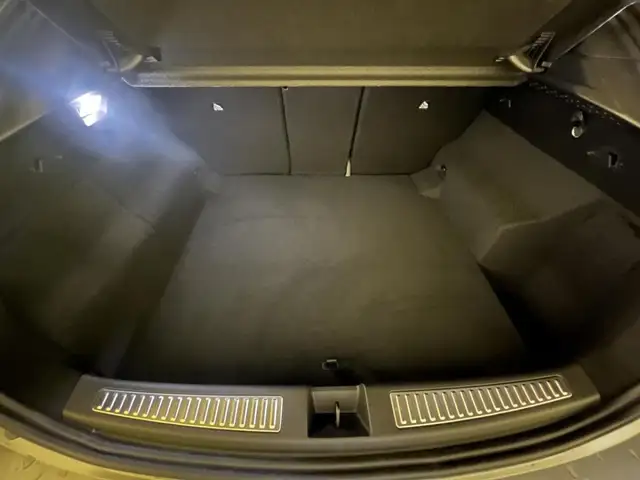 Renault Rafale view 8