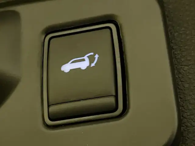 Renault Rafale view 11