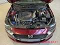Mazda 2 Homura 1.5 SKYACTIV-G 90 M-Hybrid EU6d Rot - thumbnail 14