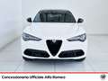 Alfa Romeo Stelvio 2.2 t tributo italiano q4 210cv auto Bianco - thumbnail 2