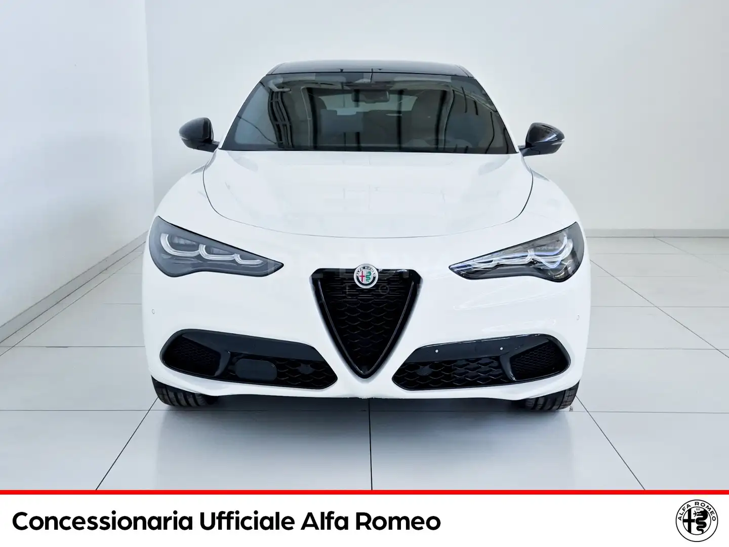 Alfa Romeo Stelvio 2.2 t tributo italiano q4 210cv auto Bianco - 2