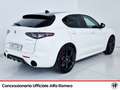 Alfa Romeo Stelvio 2.2 t tributo italiano q4 210cv auto Bianco - thumbnail 4
