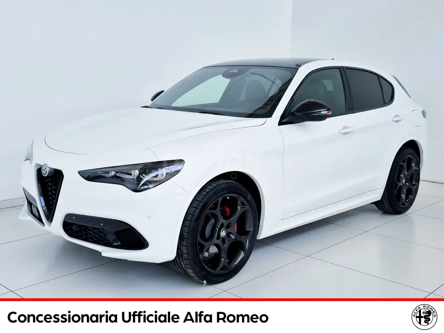 Alfa Romeo Stelvio 2.2 t tributo italiano q4 210cv auto Bianco - 1