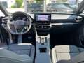 CUPRA Formentor 1.5 TSI *Matrix-LED Navi Leder Kamera* Grau - thumbnail 18