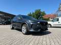 CUPRA Formentor 1.5 TSI *Matrix-LED Navi Leder Kamera* Grau - thumbnail 5