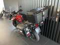 Triumph Tiger Explorer Tiger Explorer XRT Rosso - thumbnail 3