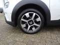 Citroen C4 Cactus PureTech 110pk S&amp;S EAT6 FEEL Blanco - thumbnail 15