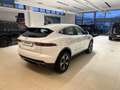 Jaguar E-Pace E-Pace 2.0D I4 163 CV AWD Auto SE Bianco - thumbnail 5