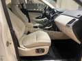 Jaguar E-Pace E-Pace 2.0D I4 163 CV AWD Auto SE Bianco - thumbnail 10