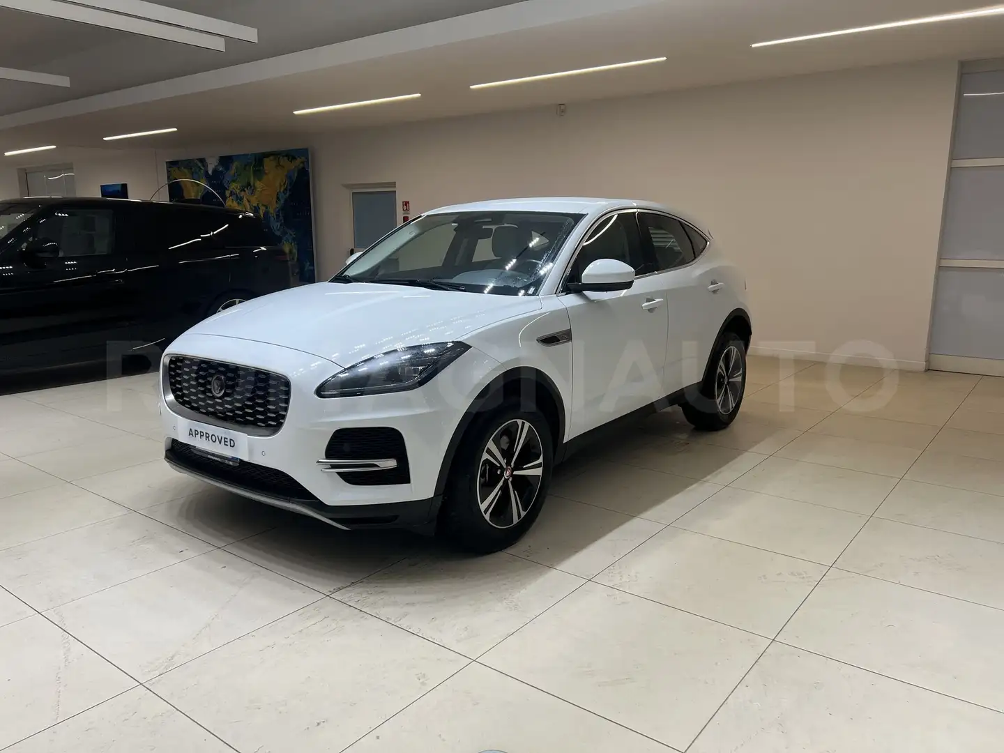 Jaguar E-Pace E-Pace 2.0D I4 163 CV AWD Auto SE Bianco - 1