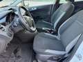 Ford Fiesta 1,5 D Weiß - thumbnail 15