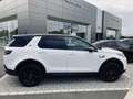 Land Rover Discovery Sport SE Pack Black Blanc - thumbnail 5