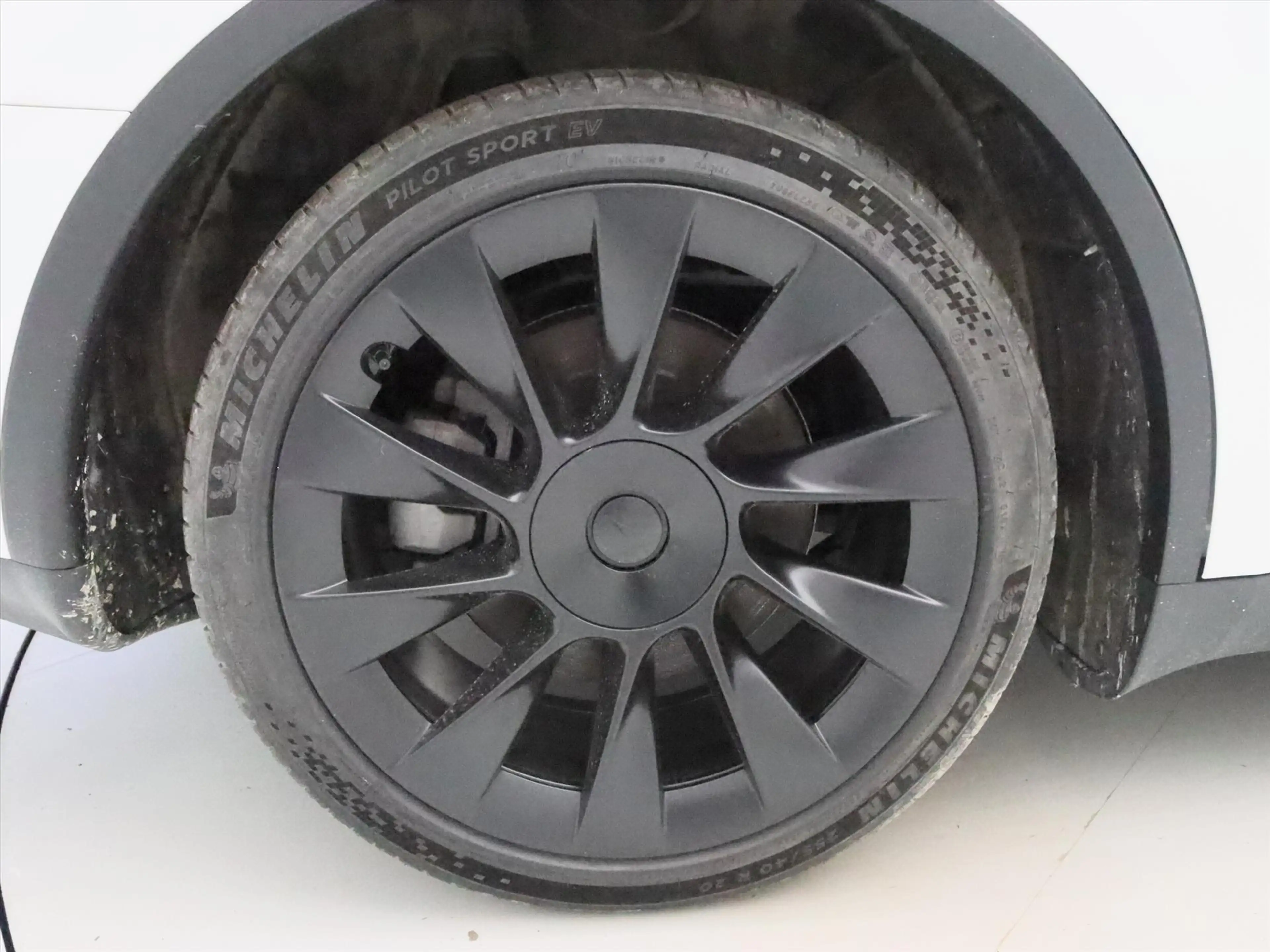 Tesla Model Y Standard RWD Plus 299pk 95% SoH [ TREKHAAK+AMD RYZ — photo 9