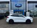 Ford Kuga 2.5 PHEV ST-Line X | Winterpack | 20 Inch | Adapti Wit - thumbnail 5