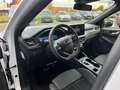 Ford Kuga 2.5 PHEV ST-Line X | Winterpack | 20 Inch | Adapti Wit - thumbnail 13