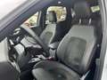 Ford Kuga 2.5 PHEV ST-Line X | Winterpack | 20 Inch | Adapti Wit - thumbnail 14