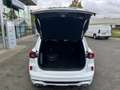 Ford Kuga 2.5 PHEV ST-Line X | Winterpack | 20 Inch | Adapti Wit - thumbnail 9