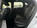 Ford Kuga 2.5 PHEV ST-Line X | Winterpack | 20 Inch | Adapti Wit - thumbnail 16