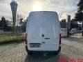 Mercedes-Benz Sprinter Sprinter F39/33 311 CDI Furgone Weiß - thumbnail 7